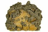 Golden Pyrite on Limonite Clay - Pakistan #337945-1